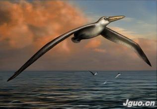 1485795160319092187.jpg 9.jpg