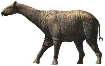 1485795168241041205.jpg 8.jpg