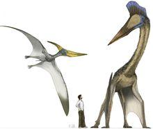 1485795177645064838.jpg 7.jpg