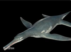 1485795190089034779.jpg 5.jpg