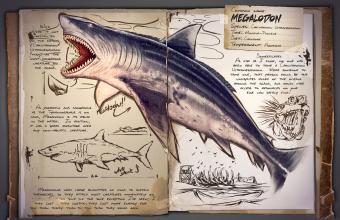 1485795199295056085.jpg 3.jpg